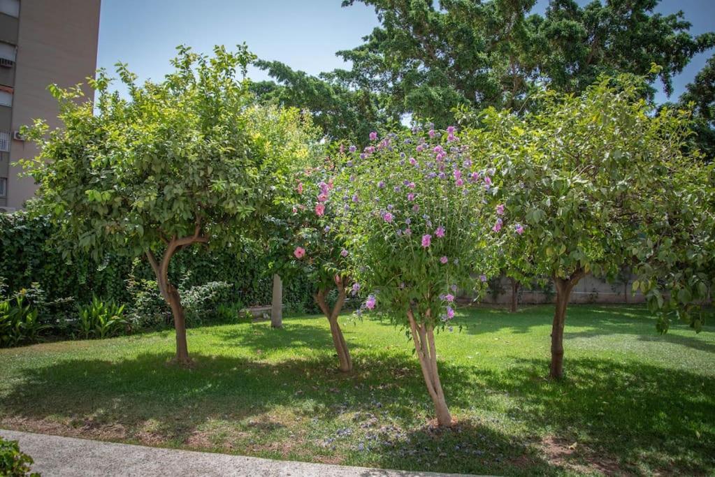 Piso Con Jardin Málaga